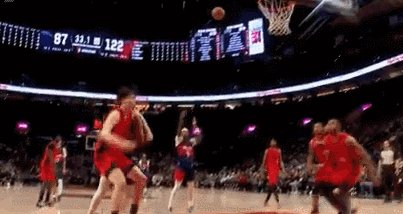 yang.gif